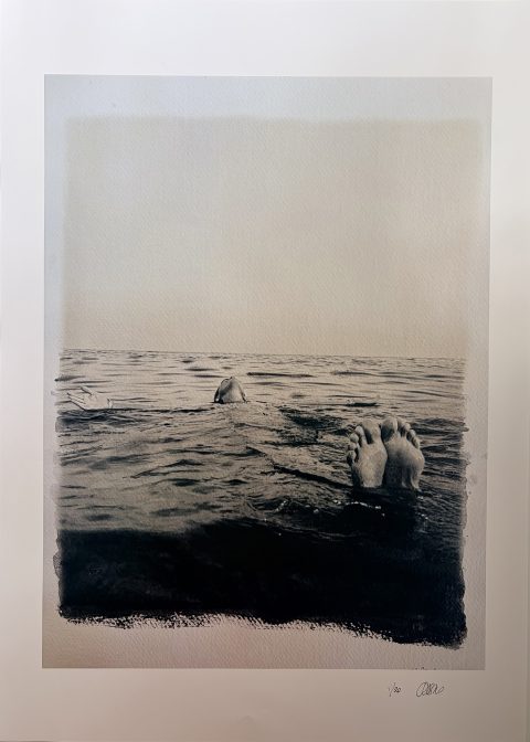 PRINT: "LA VIDA EN SILENCIO" (45 X 32 CMS.)