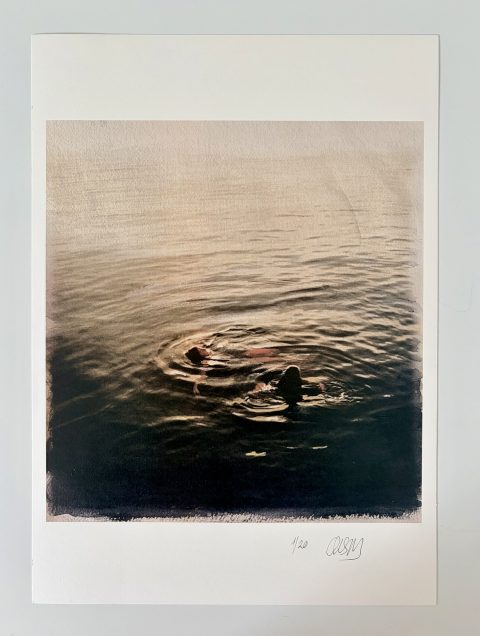 PRINT: "LA VIDA TRANSPARENTE III" 45 X 32 CMS.