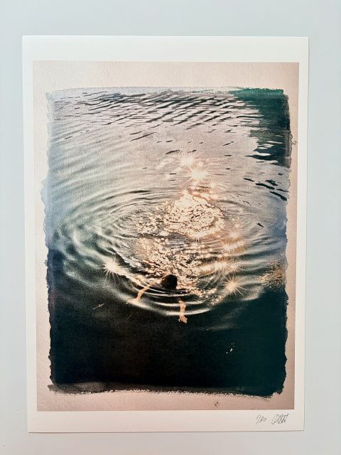 PRINT: "LA VIDA TRANSPARENTE IV" (45 X 32 CMS.)