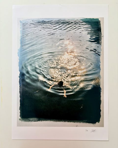 PRINT: "LA VIDA TRANSPARENTE IV" 50 X 70 CMS.