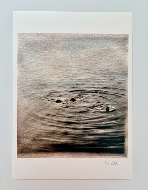 PRINT: "LA VIDA TRANSPARENTE VI" (45 X 32 CMS.)